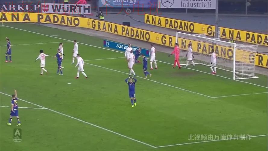 万博体育综合版全面解析