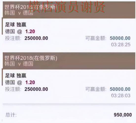 世界杯全球总决赛来临，世界杯投注网站大全用户反馈与平台选择整理